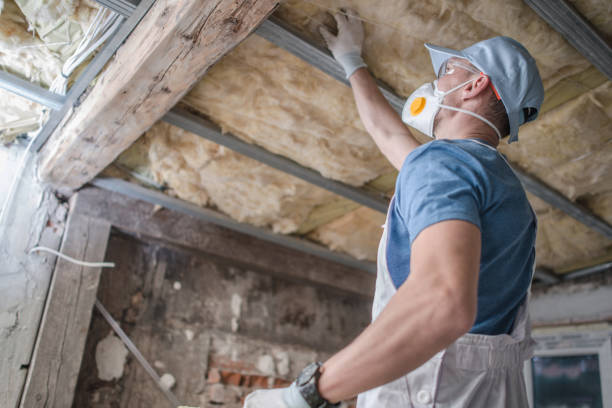 Professional Insulation Contractor in Reinbeck, IA